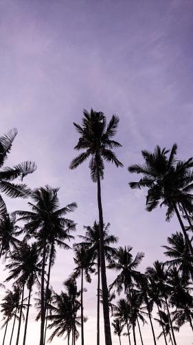 Sinuan homestay- Jabu 02 in 주앙아