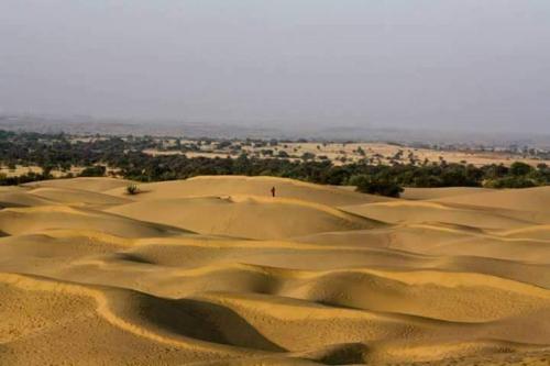Sunny Desert Camp photo