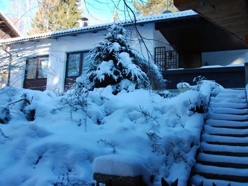  Bungalow with garden in Kaumberg near Vienna in Kaumberg