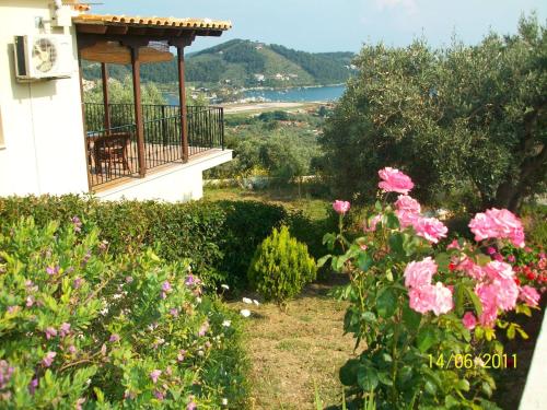 Apartments Villa L&M Skiathos - image 2