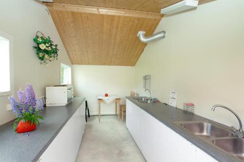 Sjøholt Camping - image 5