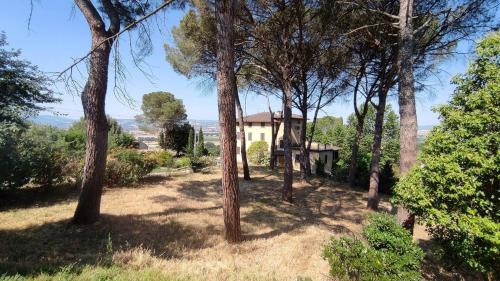 Appartamento in palazzo Liberty con pineta in Collepepe
