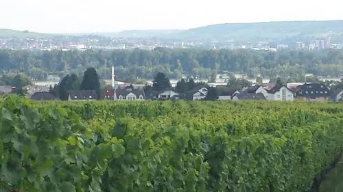 Ferienwohnung Weingut Leis in Oestrich-Winkel, Deutschland