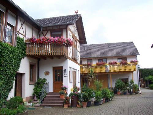 Apartment Meyerhof - Schwanau