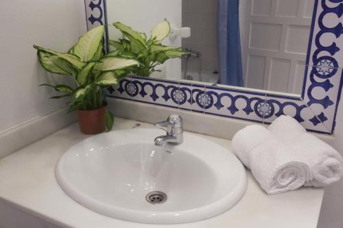 Casas y Patios de Sevilla