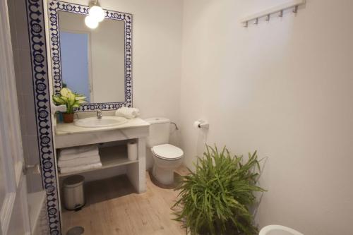 Casas y Patios de Sevilla