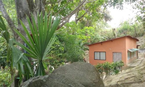 Hostel Finca La Gordita