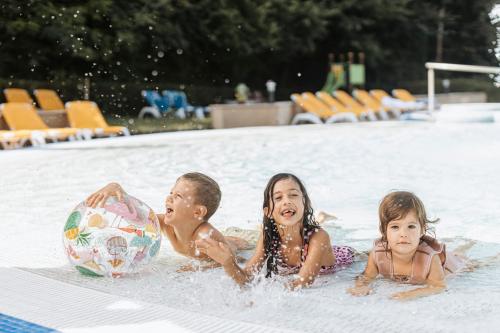 Thermal Hotel Visegrad - image 13