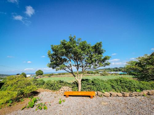 Fongnang Eyeom near Nu-un-Oreum