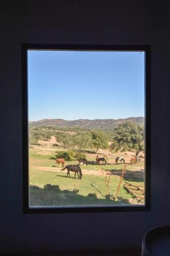 Finca Santa Maria de las Cañadas