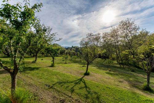 Podere Sant'Antonio