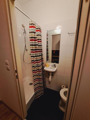 Astoria Central Appartement 10 minutes to downtown long term stay also possible, Vídeň (fotografie 8)