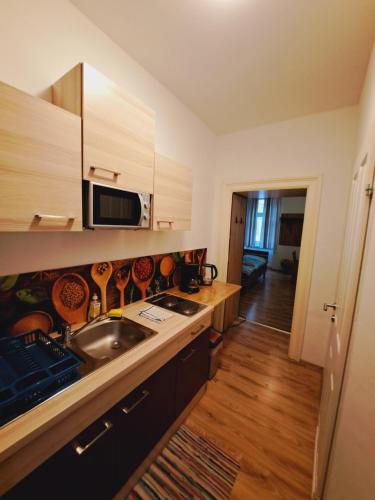 Astoria Central Appartement 10 minutes to downtown long term stay also possible, Vídeň (fotografie 4)