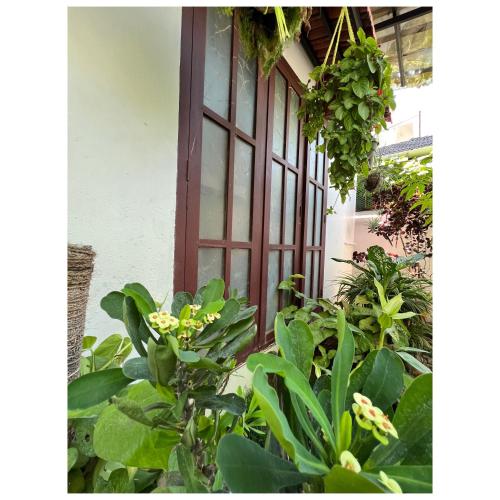 Reds Residency - Homestay