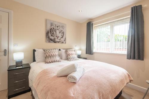 Picture of Apartment 8