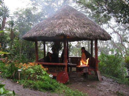 Guayabo Verde in Nanegalito
