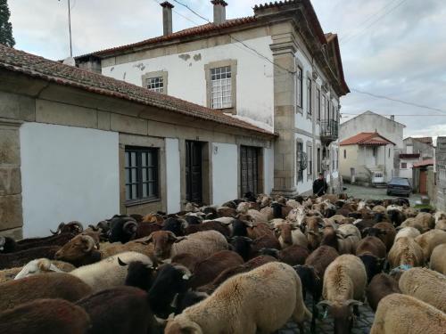 Casa Grande, Turismo de Habitação e Casas de Campo