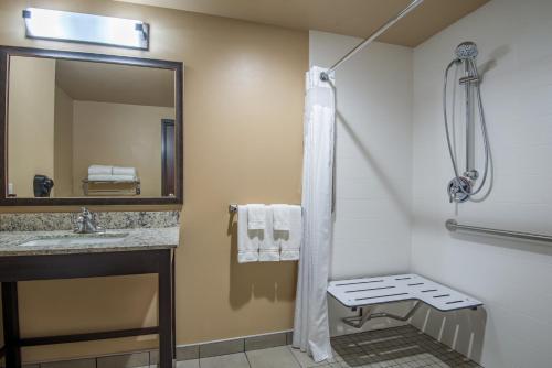 King Room - Disability Access Roll in Shower