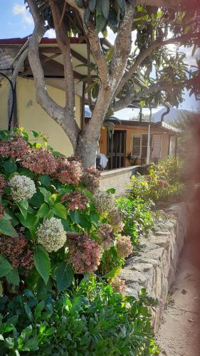 Casa Vacanze - Via Mare