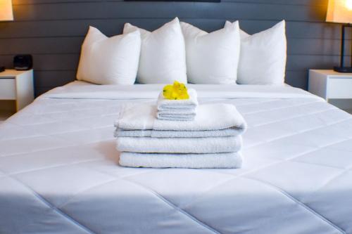 1 king bed