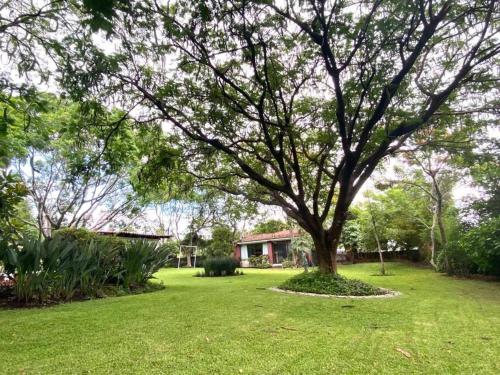 Casa Bienteveo 15 min de Cuernavaca, 23 personas in Tezoyuca, Mexico