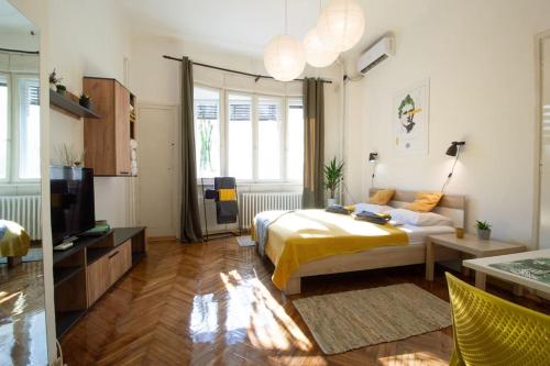 One-Bedroom Apartment image 8