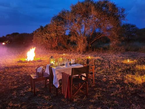 TARANGIRE KURO TREETOP LODGE in Tarangire