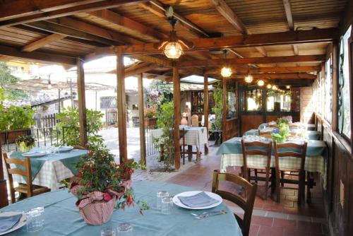 La Vecchia Quercia in Selci