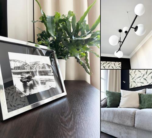 Studio Apartment image 7