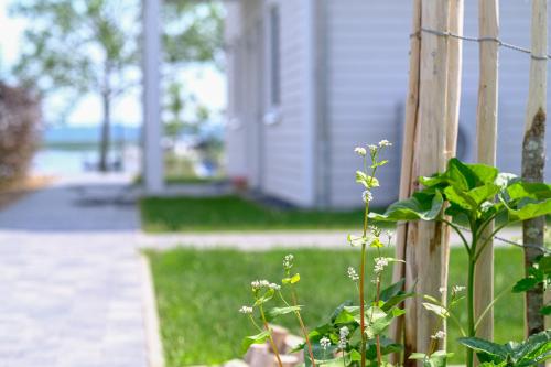 Ferienhaus - Schilfprinzessin