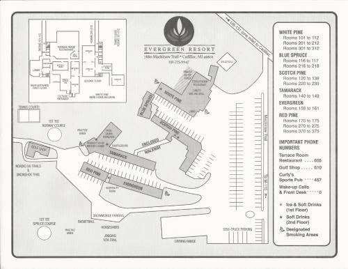 Evergreen Resort in Cadillac, USA