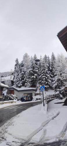 Hotel Bondi - image 12