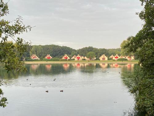 Supergezellig vakantiehuis met hele grote tuin bij Nijmegen