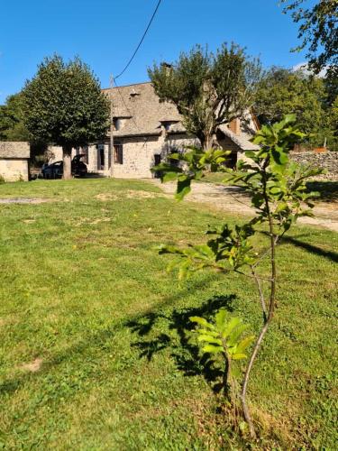 Maison typique Auvergnate, piscine et four à pain