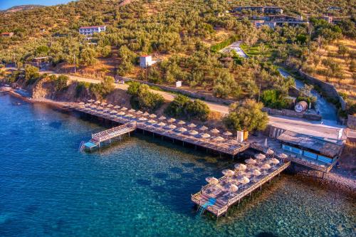 Assos Dionysos Hotel Adults Only 18