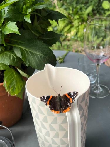 Supergezellig vakantiehuis met hele grote tuin bij Nijmegen