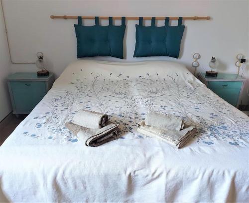 Podere La Machiusa - Villa with pool