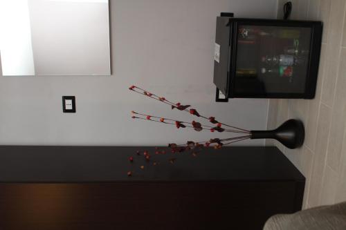 B&B Tra Monti e Mare – Ogliastro Cilento, UT