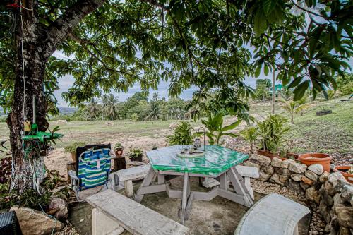 Jehane Cabana at Bella Vue Estate in Mount Hope