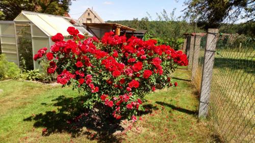 Ferienwohnung Wawrok Ferienwohnung Wawrok