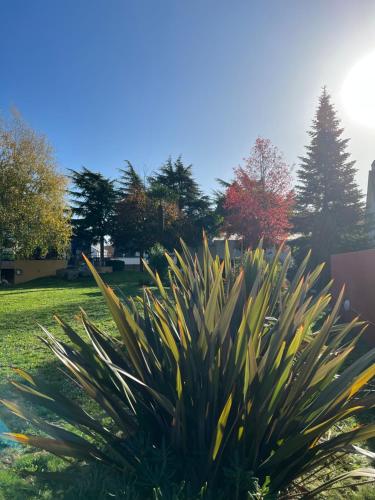 Hotel Arcantis Le Voltaire - image 5