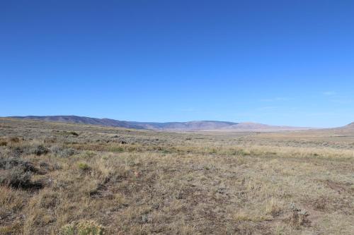 Rebel Ranch Medicine Bow National Forest in Laramie, USA