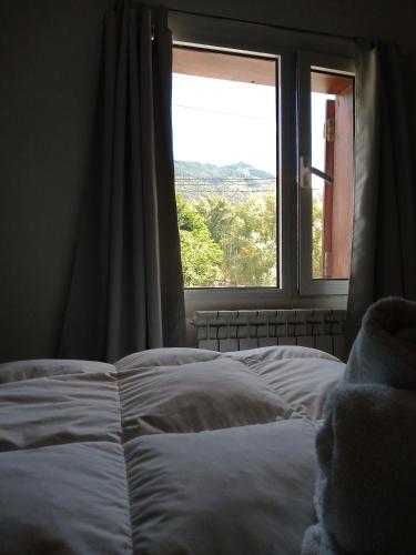 B&B Copahue - image 5