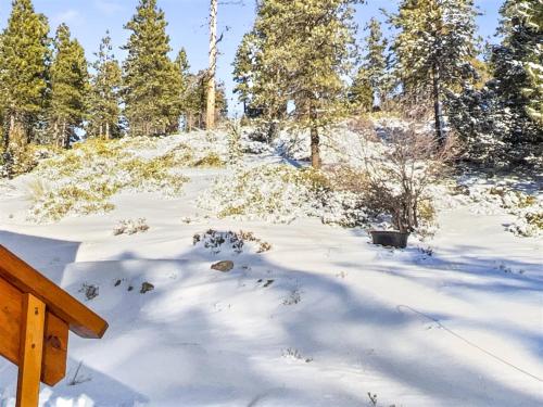 Ponderosa Ranch Cabin