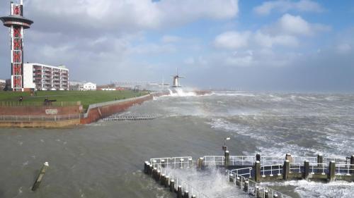 Surrounding environment, De Sprink - Vakantiewoning in Zoutelande