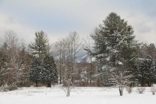 Peaceful and Private Franconia Home by Cannon!