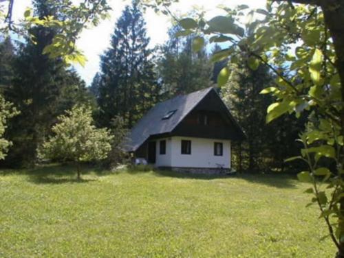 Apartment Lake Bohinj no. 5