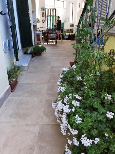 Il giardino di Tatiana - image 6