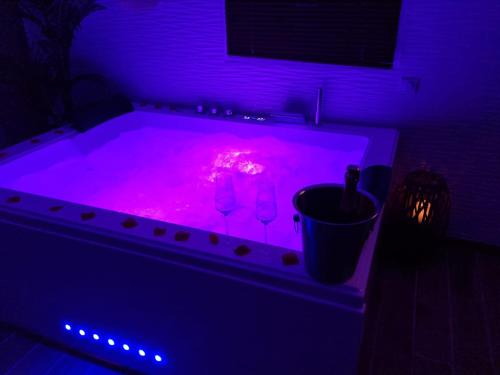 Loft de charme avec jacuzzi privatif illimité à 20 minutes de Paris et Stade de France