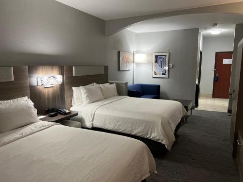 Holiday Inn Express Hotel & Suites Woodward Hwy 270 an IHG Hotel - image 2